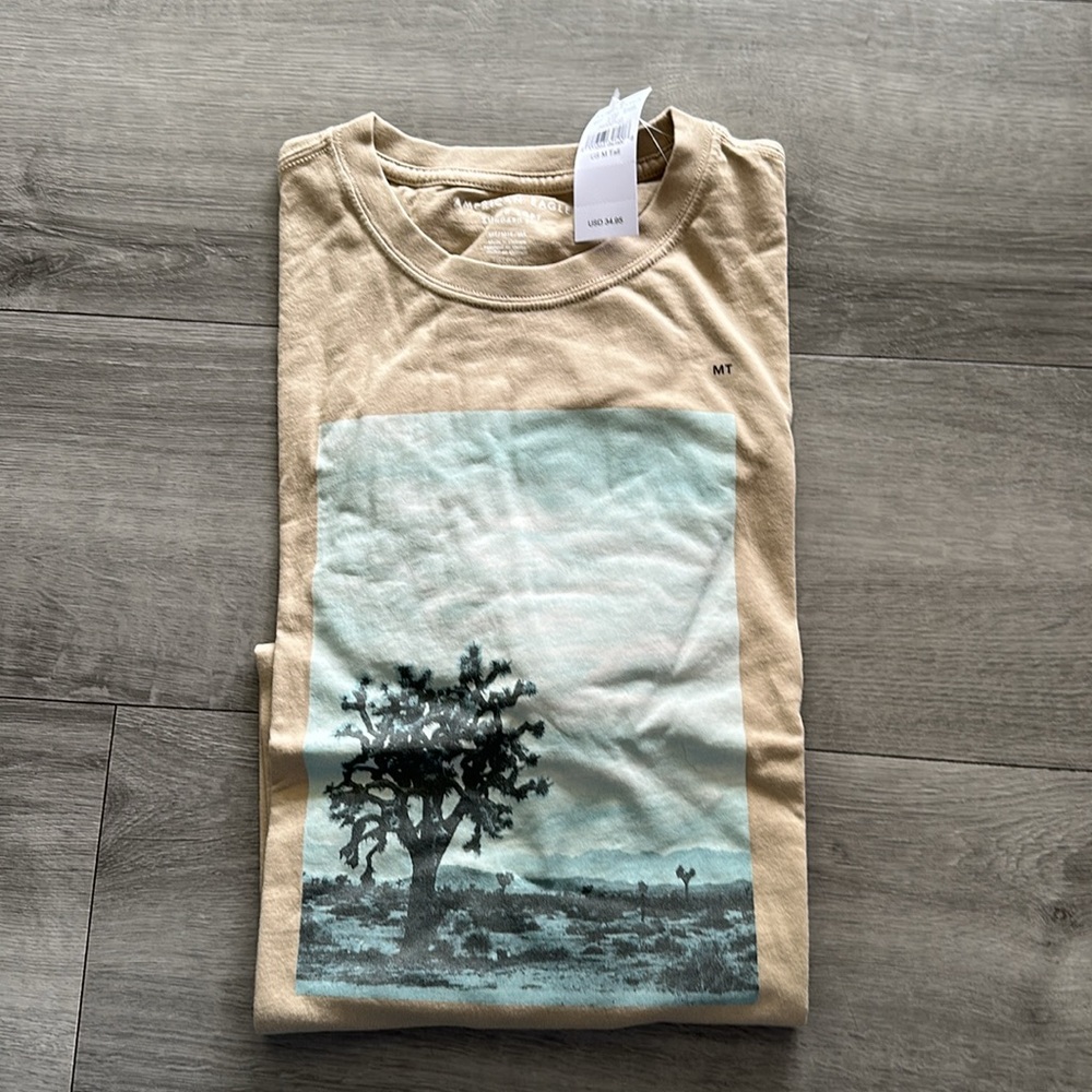 American Eagle Graphic Long Sleeves T-Shirt